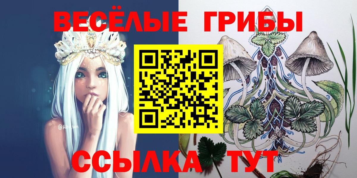 дарнет шоп  Псилоцибиновые грибы Cubensis  Вход с VPN  Красноармейск  Псилоцибиновые грибы GOLDEN TEACHER 