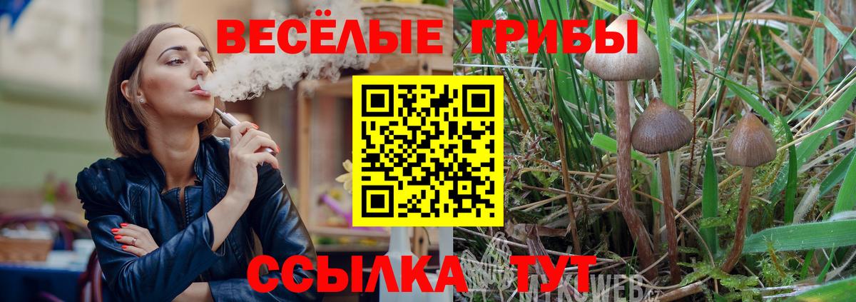 Канабис  ГАШИШ  Кокаин  Меф МЯУ МЯУ  Красноармейск  Вход с VPN  Меф МЯУ МЯУ кристаллы 